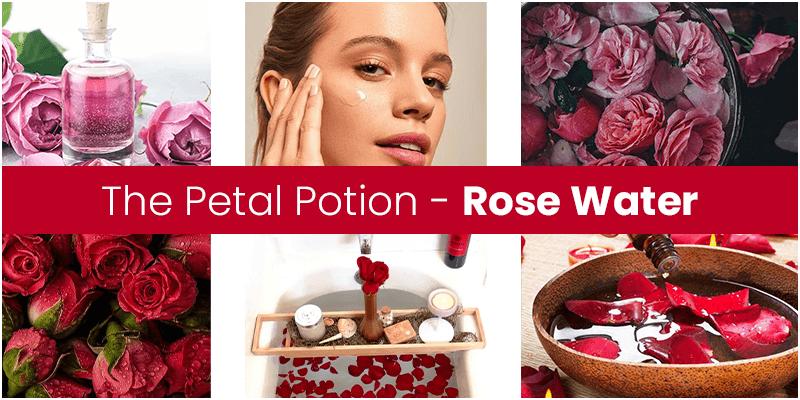 Some Interesting Rose Water Benefits For Your Skin