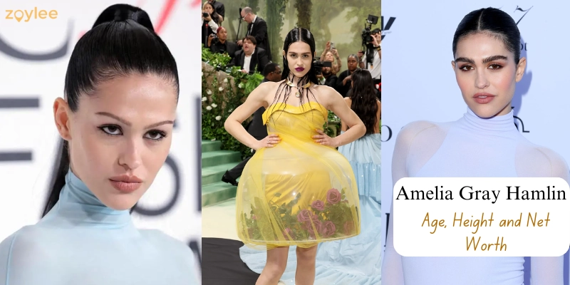 Amelia Gray Hamlin Net Worth, Age, and Height