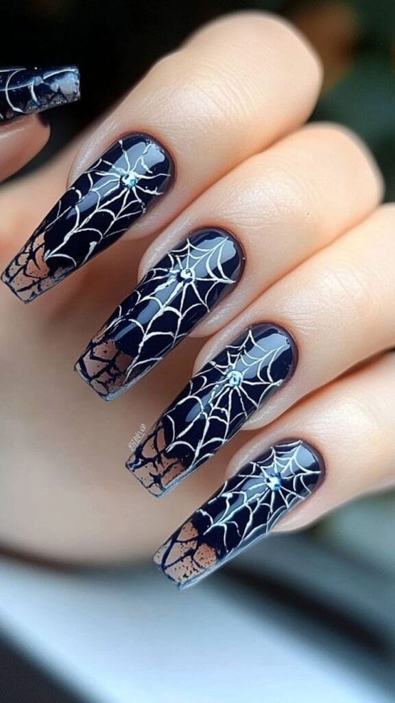 Spider Web Chic